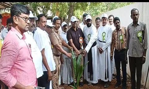 நாசரேத் கல்லூரியில் மரக்கன்றுகள் நடவு