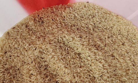 நுகர்பொருள் வாணிப கிடங்கில் இருந்து வெளியேறும் வண்டுகளால் மக்கள் அவதி