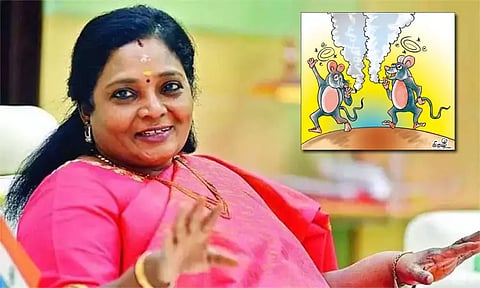 தமிழகத்தில் உள்ள எலிகள் எல்லாம் கஞ்சாவை தேடி காவல்நிலையம் வருகின்றன - கவர்னர் தமிழிசை