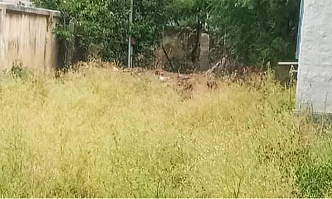 புதர்மண்டிக் கிடக்கும் அரசு ஆஸ்பத்திரி வளாகம்