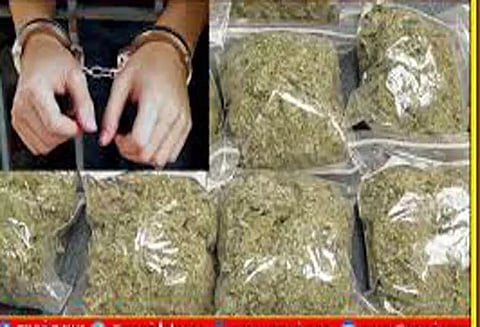 தூத்துக்குடியில் கஞ்சா விற்ற வாலிபர் கைது