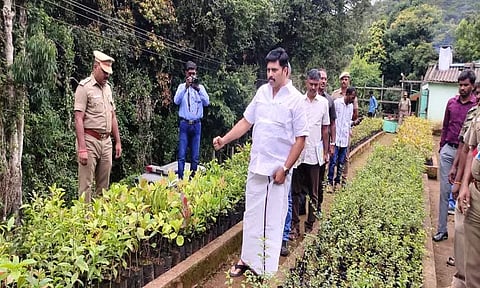 விவசாயிகளின் கோரிக்கையை ஏற்று'சில்வர் ஓக்' மரங்களை வெட்டி விற்பனை செய்ய அனுமதி எளிதாக்கப்படும்-வனத்துறை அமைச்சர் மதிவேந்தன் பேட்டி