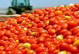 ராக்கெட் வேகத்தில் விலை உயர்வு - தக்காளி கிலோ ரூ.130-க்கு விற்பனை