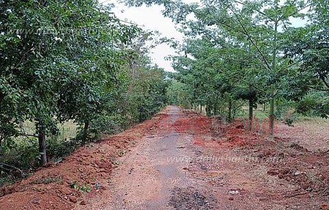 வனத்துறை தடையால் குண்டும், குழியுமாக காட்சி அளிக்கும் சாலை