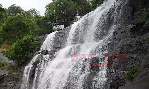 மேகமலை அருவியில் வெள்ளப்பெருக்கு