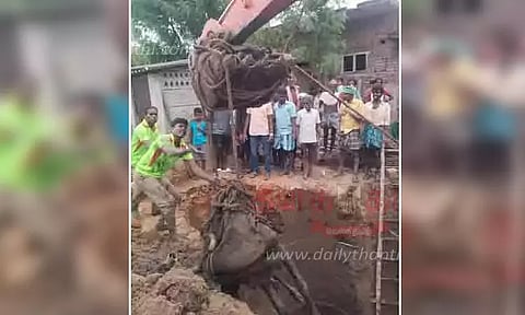 கழிவுநீர் தொட்டியில் விழுந்த பசுமாடு உயிருடன் மீட்பு