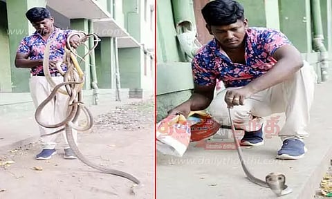 ஈரோடு மாநகரில் ஒரே நாளில் 13 பாம்புகள் பிடிபட்டன
