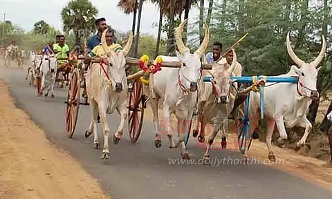 கோவில் விழாவையொட்டி மாட்டுவண்டி பந்தயம்