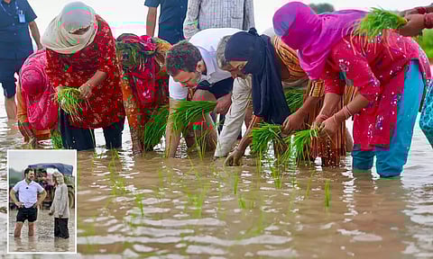 Image Courtesy : PTI (file photo)