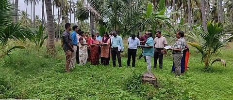 தென்னந்தோப்பில் ஆய்வு செய்த அதிகாரிகள்