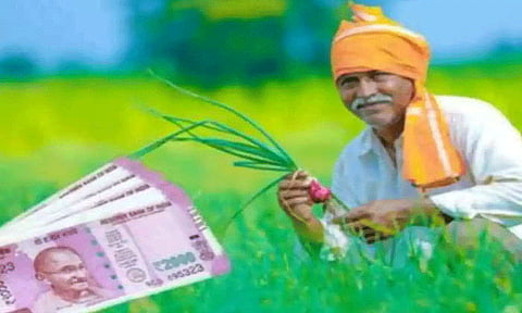 'பி.எம். கிசான்' திட்டம்: விவசாயிகளுக்கு அதிகாரி வேண்டுகோள்