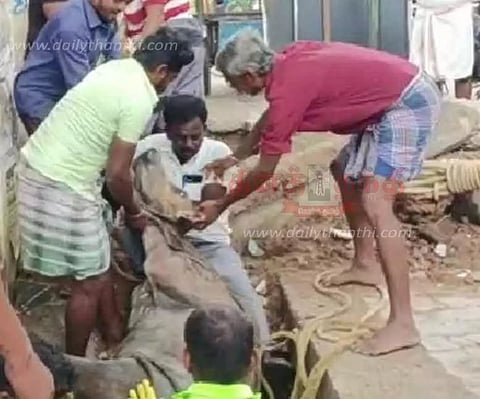 வாறுகாலில் விழுந்த கன்றுக்குட்டி மீட்பு