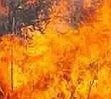 மில்லில் தீ விபத்து