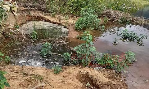 தாமரைக்குளம் கரையில் விரிசல்