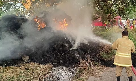 வைக்கோல் போருக்கு தீவைப்பு