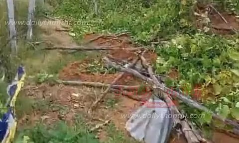 ஆசனூர் அருகே காட்டு யானைகள் அட்டகாசம்