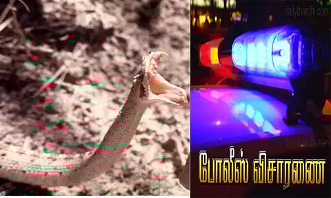 அரசு பள்ளி மாணவி பாம்பு கடித்து காயம்..!