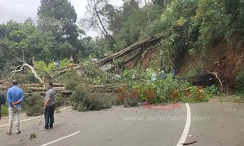 மரங்கள் விழுந்து போக்குவரத்து பாதிப்பு