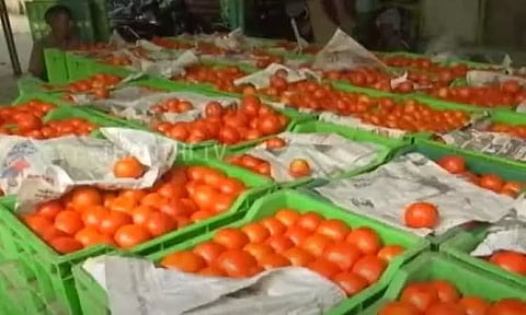 சென்னையில் நடமாடும் வாகனங்கள் மூலம் தக்காளி விற்பனை - தோட்டக்கலைத்துறை அறிவிப்பு