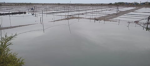 வேதாரண்யத்தில், உப்பு உற்பத்தி பாதிப்பு