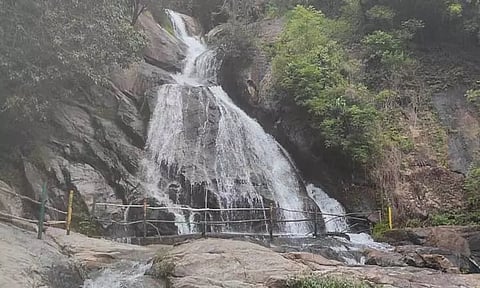 குரங்கு நீர்வீழ்ச்சிக்கு செல்ல இன்று முதல் அனுமதி