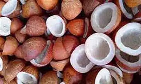 ரூ.18¾ லட்சத்துக்கு வேளாண் பொருட்கள் விற்பனை