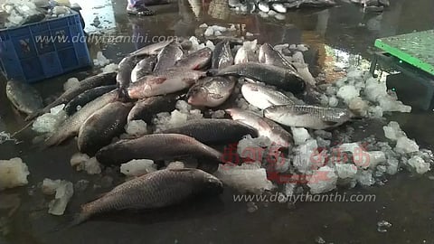 நீர்மட்டம் குறைந்ததால் மேட்டூர் அணை மீன்கள் விற்பனை அமோகம்