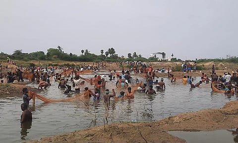 கொட்டடிகுளத்தில் மீன்பிடி திருவிழா