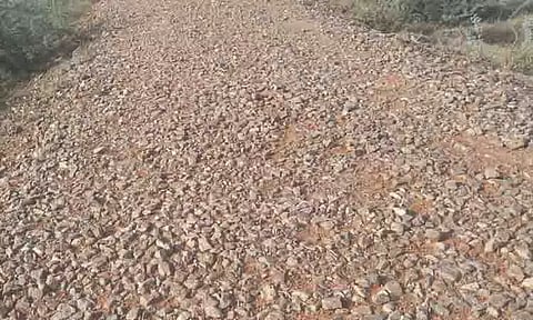 தினத்தந்தி புகார் பெட்டி