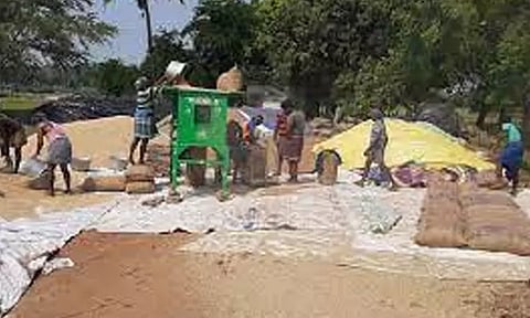 2 இடங்களில் நெல் கொள்முதல் நிலையம்