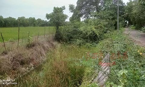 அதங்குடி பாசன வாய்க்கால் தூர்வாரப்படுமா?