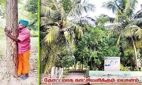 பூந்தோட்டமாக மாறிய மயானம்