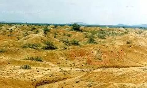 கலைஞரின் தரிசுநில மேம்பாட்டு பணிகளை அதிகாரி ஆய்வு