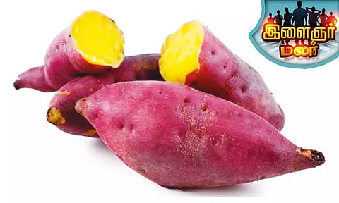 சர்க்கரை வள்ளி கிழங்கு சாப்பிடுங்கள்!