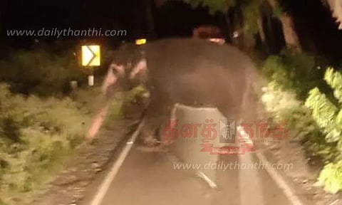 வாகனங்களை வழிமறித்த கும்கி யானை