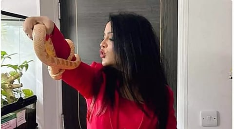 பாம்பு, மரப்பல்லியுடன் அம்ருதா பட்னாவிஸ் - சமூக வலைதளங்களில் வைரல்