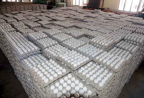 நாமக்கல் மண்டலத்தில்முட்டை விலை 5 காசுகள் உயர்வு