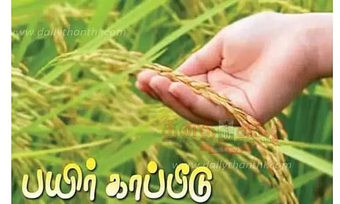 பயிர் காப்பீடு திட்ட பதிவுக்கு காலக்கெடு நீட்டிப்பு