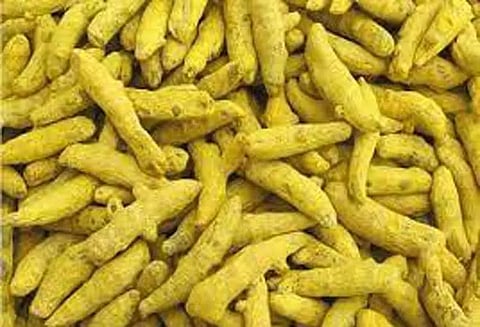 திருச்செங்கோட்டில் ரூ.75 லட்சத்துக்கு மஞ்சள் ஏலம்