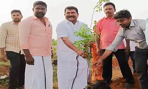 2 ஆயிரம் மரக்கன்றுகள் நடும் திட்டம்