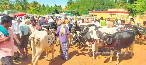 சீனாபுரம் சந்தையில் ரூ.1½ கோடிக்கு கால்நடைகள் விற்பனை