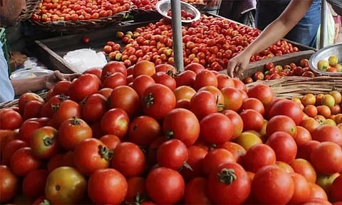 புதிய உச்சம் தொட்ட தக்காளி விலை: ஒரு கிலோ ரூ.250-க்கு விற்பனை