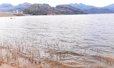அமராவதி அணைக்கு நீர்வரத்து குறைந்தது