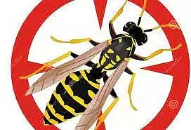 விஷவண்டுகள் கடித்து 3 பேர் மயக்கம்