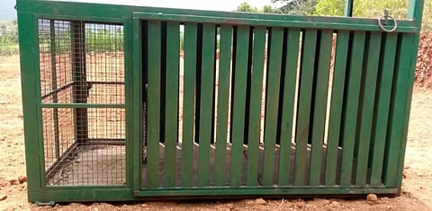 கொங்கர்பாளையம் அருகே சிறுத்தைப்புலியை பிடிக்க கூண்டு அமைப்பு