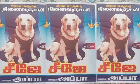 மதுரவாயல் பகுதியில் இறந்து போன நாய்க்கு 2ம் ஆண்டு நினைவஞ்சலி போஸ்டர் ஒட்டிய நபர்...!