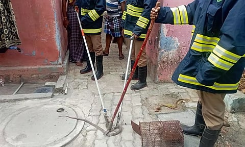 போடியில் வீட்டுக்குள் புகுந்த பாம்பு