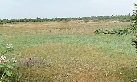 கறம்பக்குடி பகுதியில் குறுவை சாகுபடி தப்புமா?