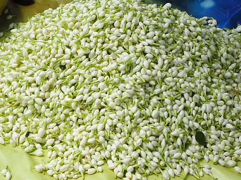 இன்று ஆடி மாத முதல் வெள்ளிக்கிழமை:மதுரையில் பூக்கள் விலை உயர்வு- மல்லிகை கிலோ ரூ.600-க்கு விற்பனை