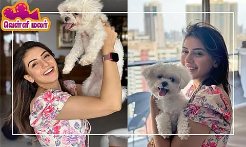 மவுனம் காக்கும் ஹன்சிகா